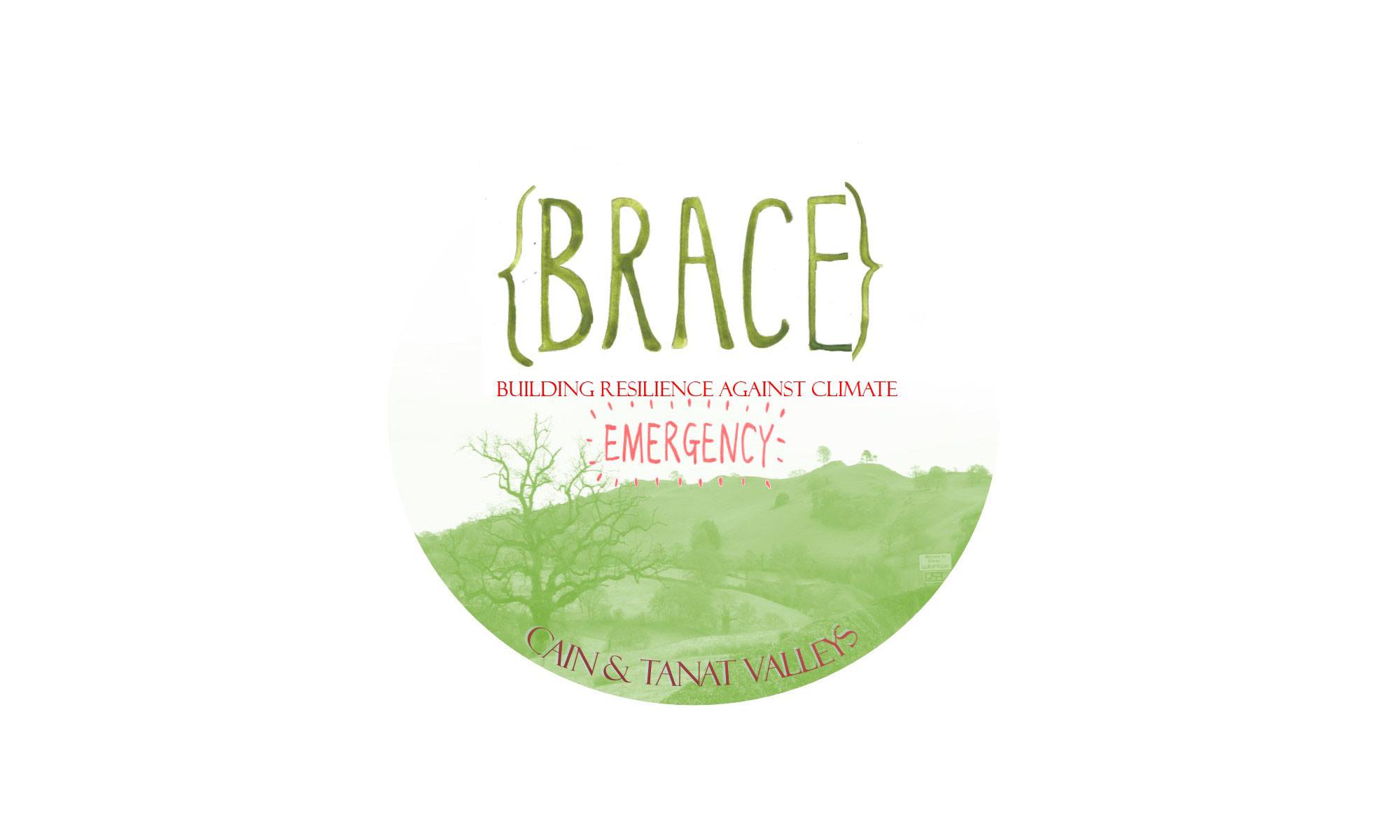 Brace Logo